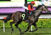 Lindt<br>Photo by Singapore Turf Club